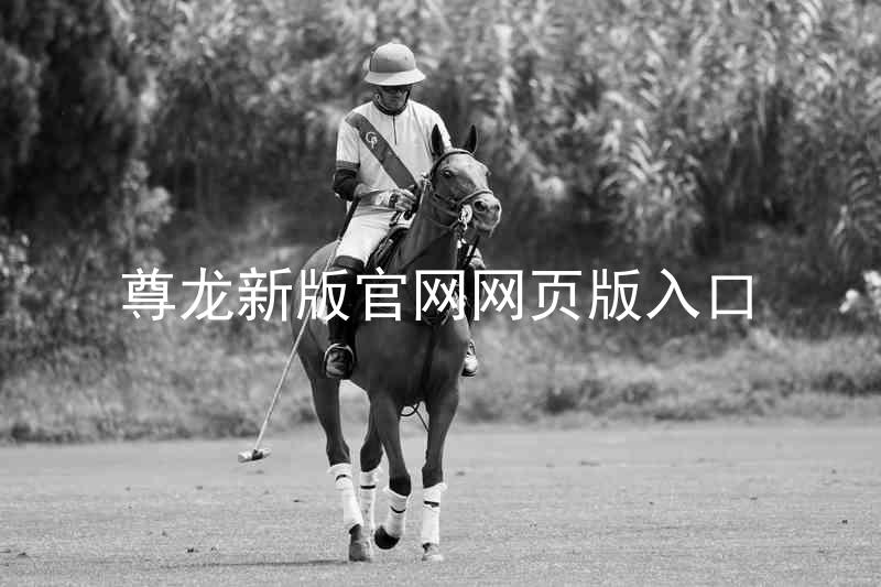 尊龙新版官网网页版入口