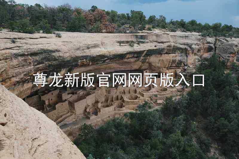 尊龙新版官网网页版入口