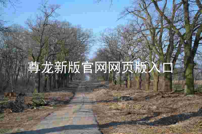 尊龙新版官网网页版入口