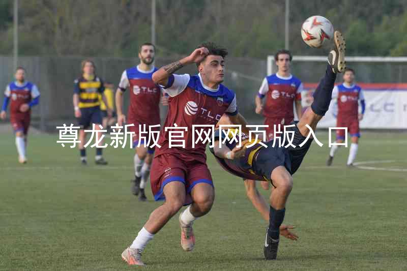 尊龙新版官网网页版入口